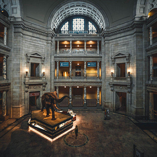 an exhibition inside the museum at night